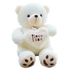 Ours en peluche amour