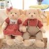Ours en peluche couple