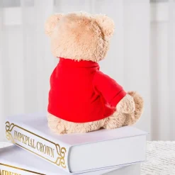 Ours en peluche « I love you »