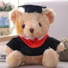 Ours en peluche étudiant