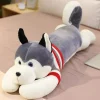 Peluche géante husky